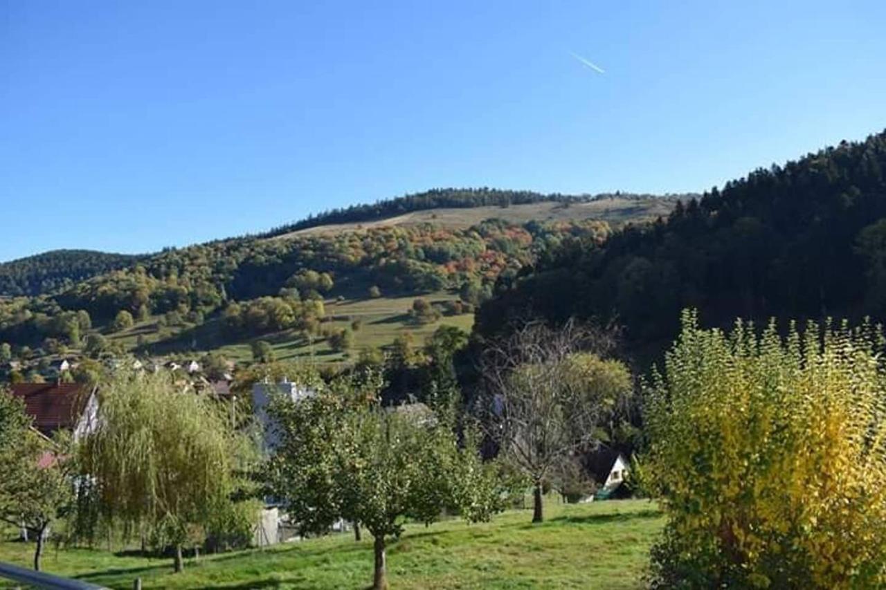 Les Locations De Stephanie ,Gite Le Verger Sondernach Exterior foto