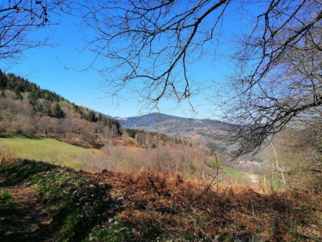 Les Locations De Stephanie ,Gite Le Verger Sondernach Exterior foto