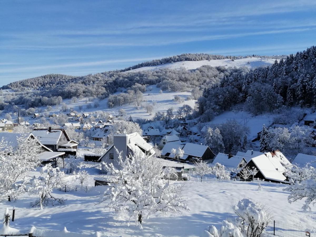Les Locations De Stephanie ,Gite Le Verger Sondernach Exterior foto